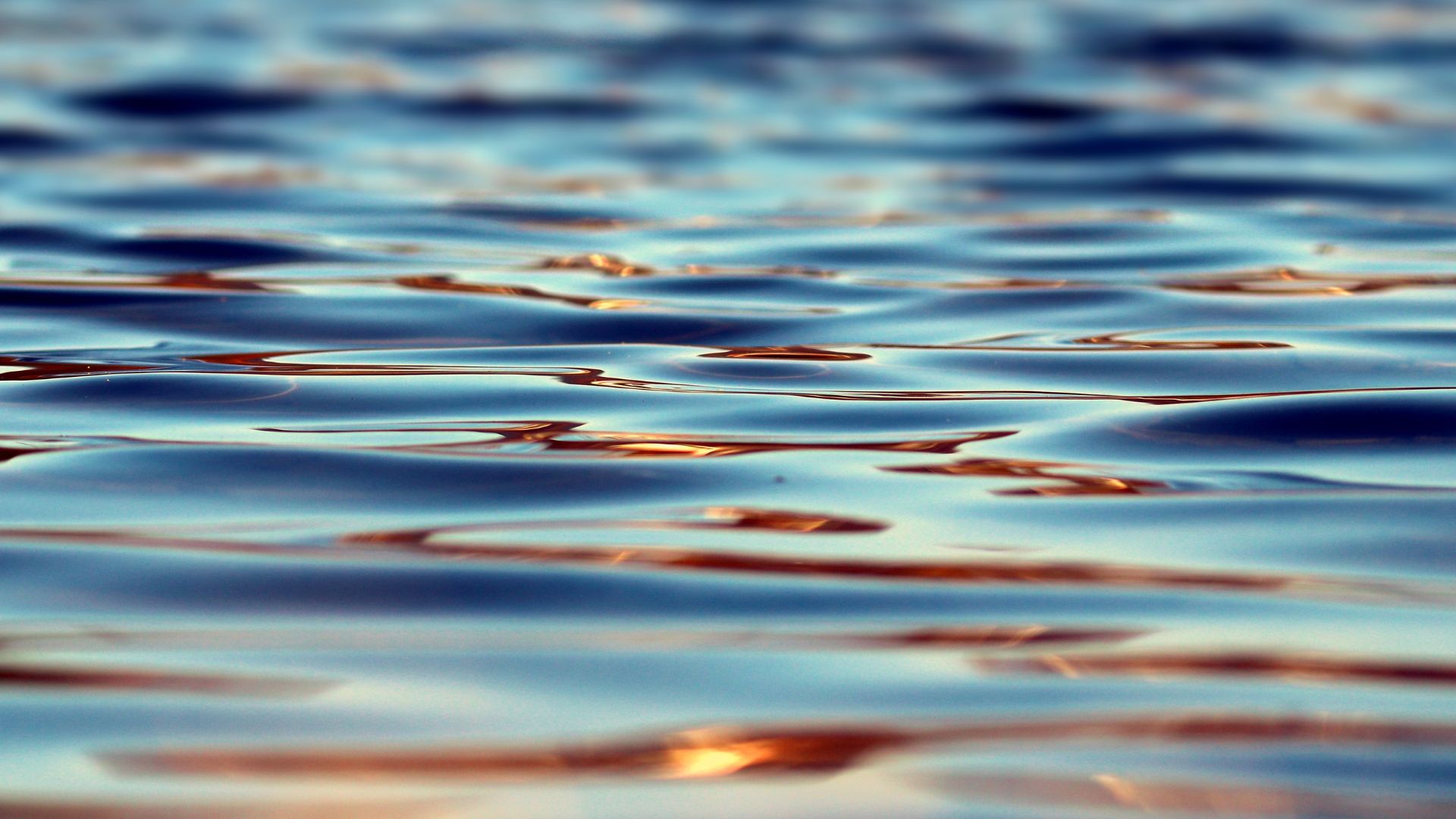 La Dirección General del Agua del MITECO organiza un webinar sobre las convocatorias del PERTE de digitalización del ciclo del agua