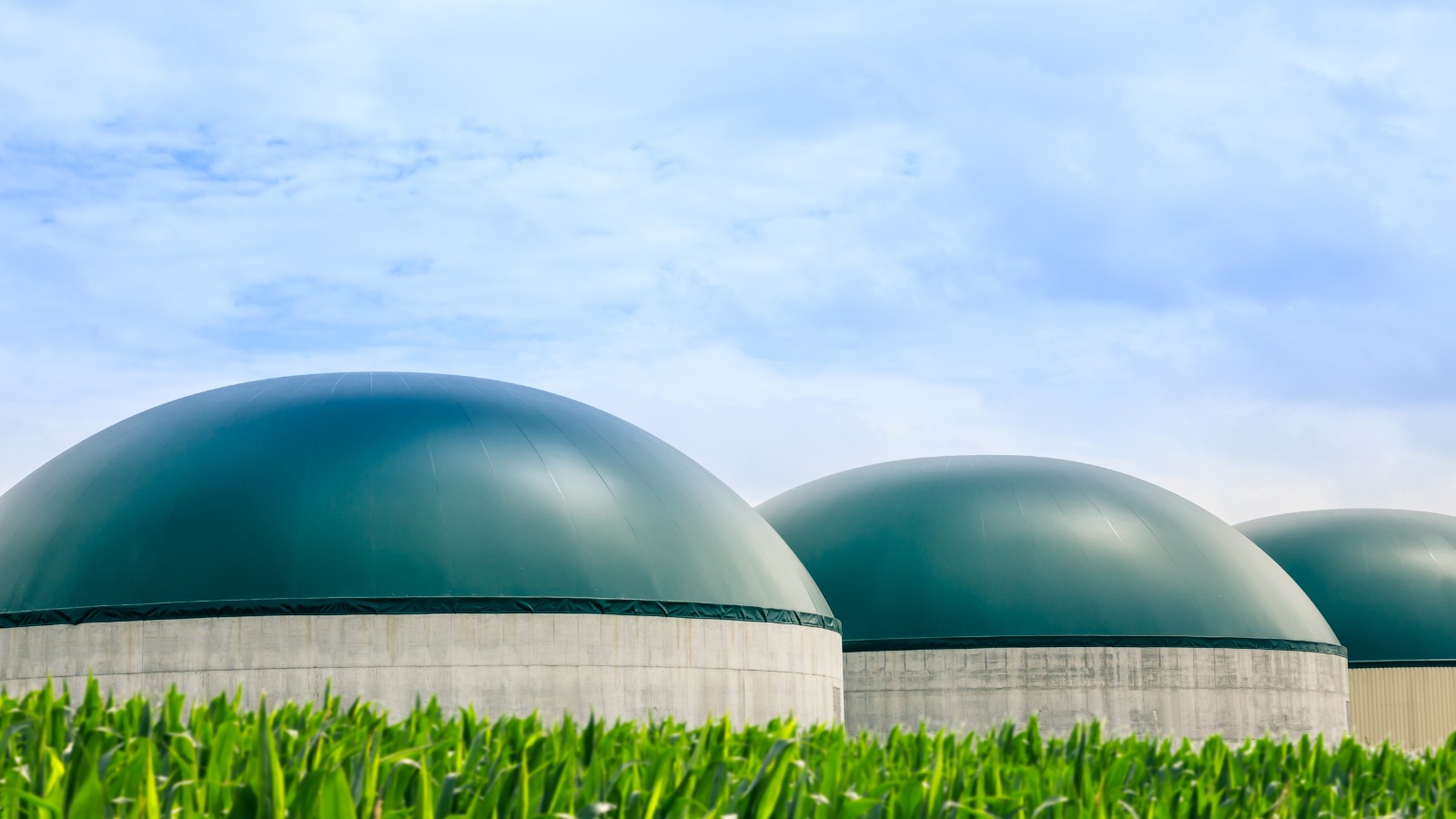 El MITECO abre a consulta pública un proyecto de orden con nuevas bases reguladoras para otorgar las ayudas a instalaciones de biogás