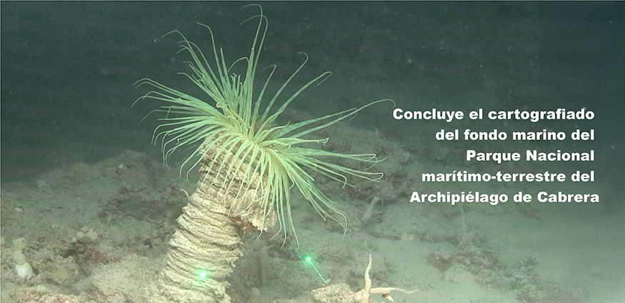 Enlace a página de noticias